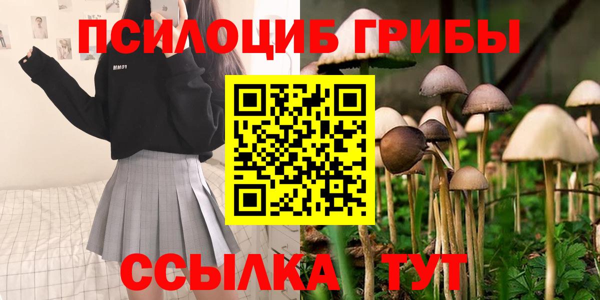 Глазов  Псилоцибиновые грибы мухоморы  Галлюциногенные грибы мицелий  Вход с VPN 