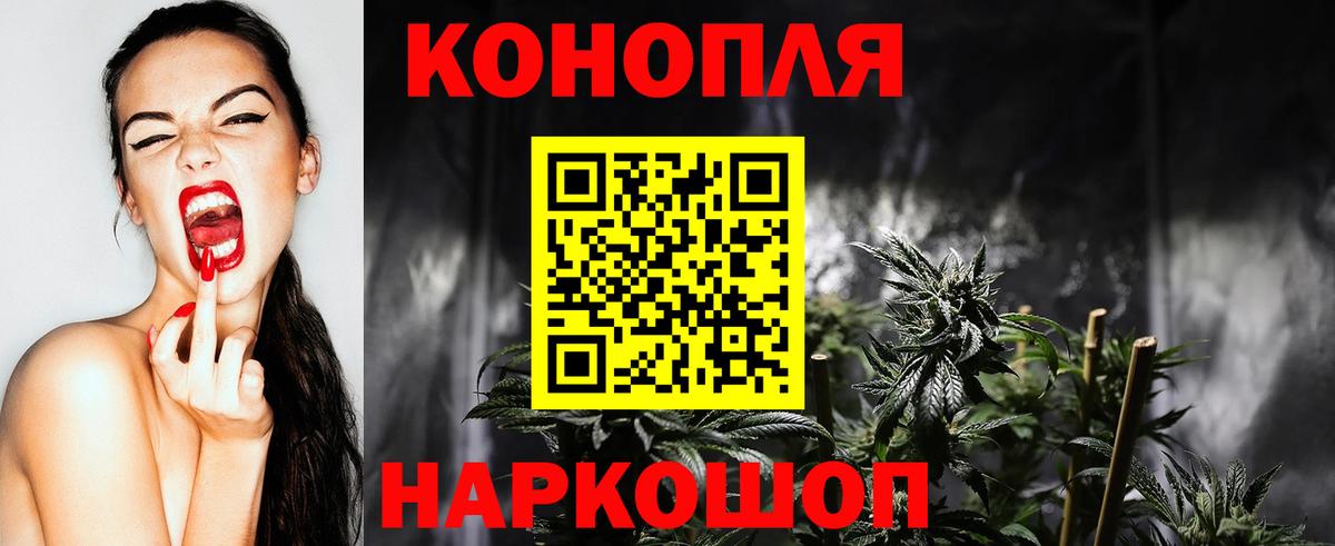 Конопля план Глазов